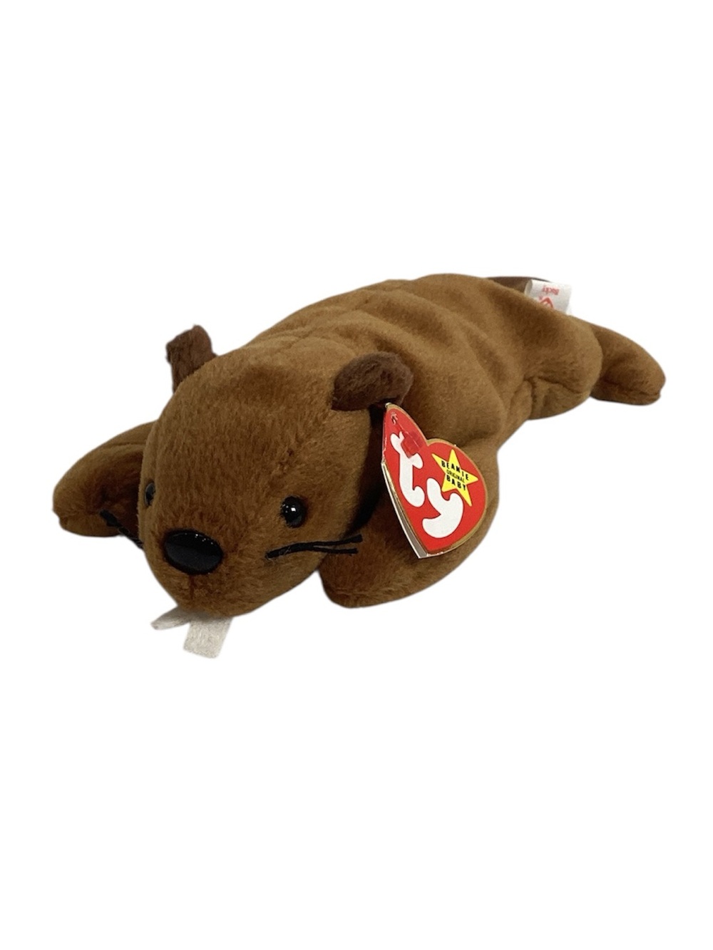 💚 TY “Bucky” Beanie Baby Brown Beaver - NWT